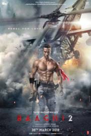 Baaghi 2 Hindi