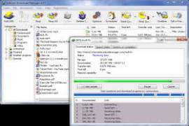 Internet Download Manager IDM 6