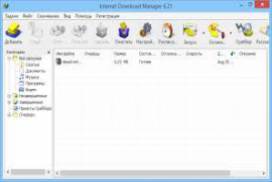 Internet Download Manager IDM 6